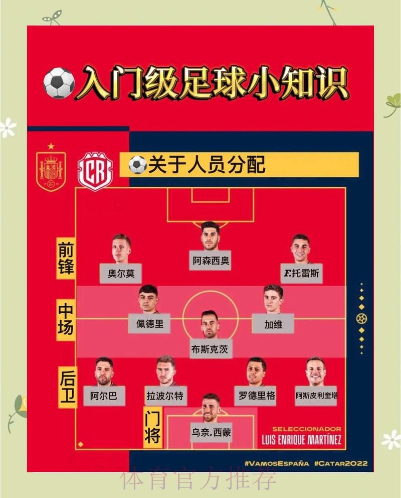 世界杯外围入口全站深度解析与攻略指南